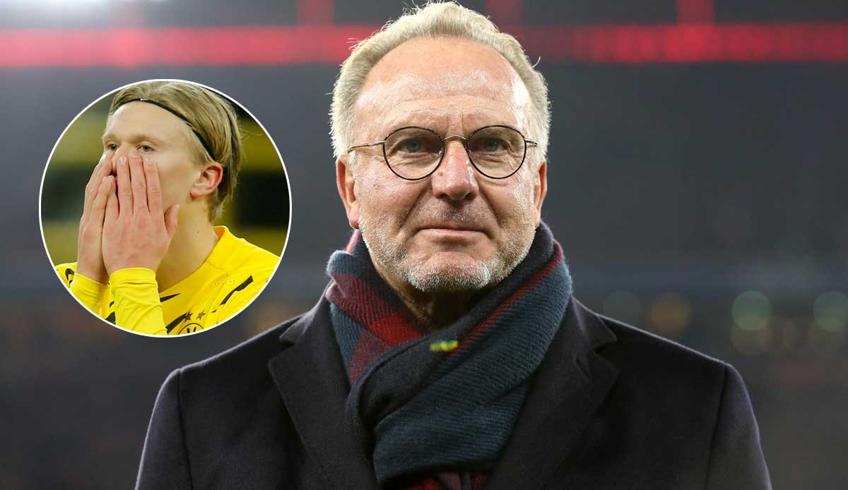 替补球员再次建功，球队深度获认可